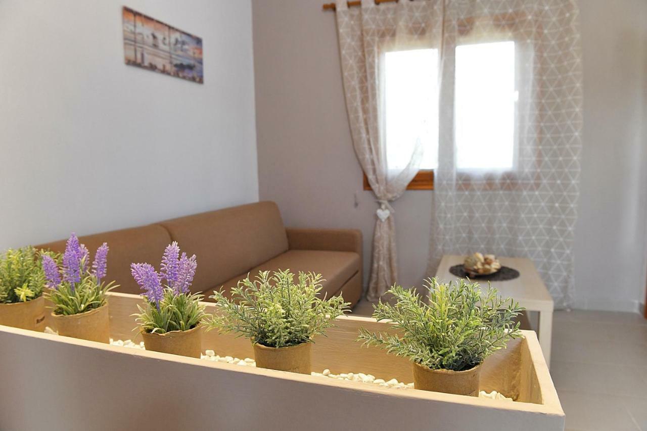 Elaionas Apt. Ψακούδια Εξωτερικό φωτογραφία